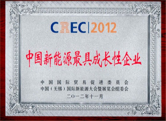 瑞斯頓：中國新能源最具成長性企業(yè)